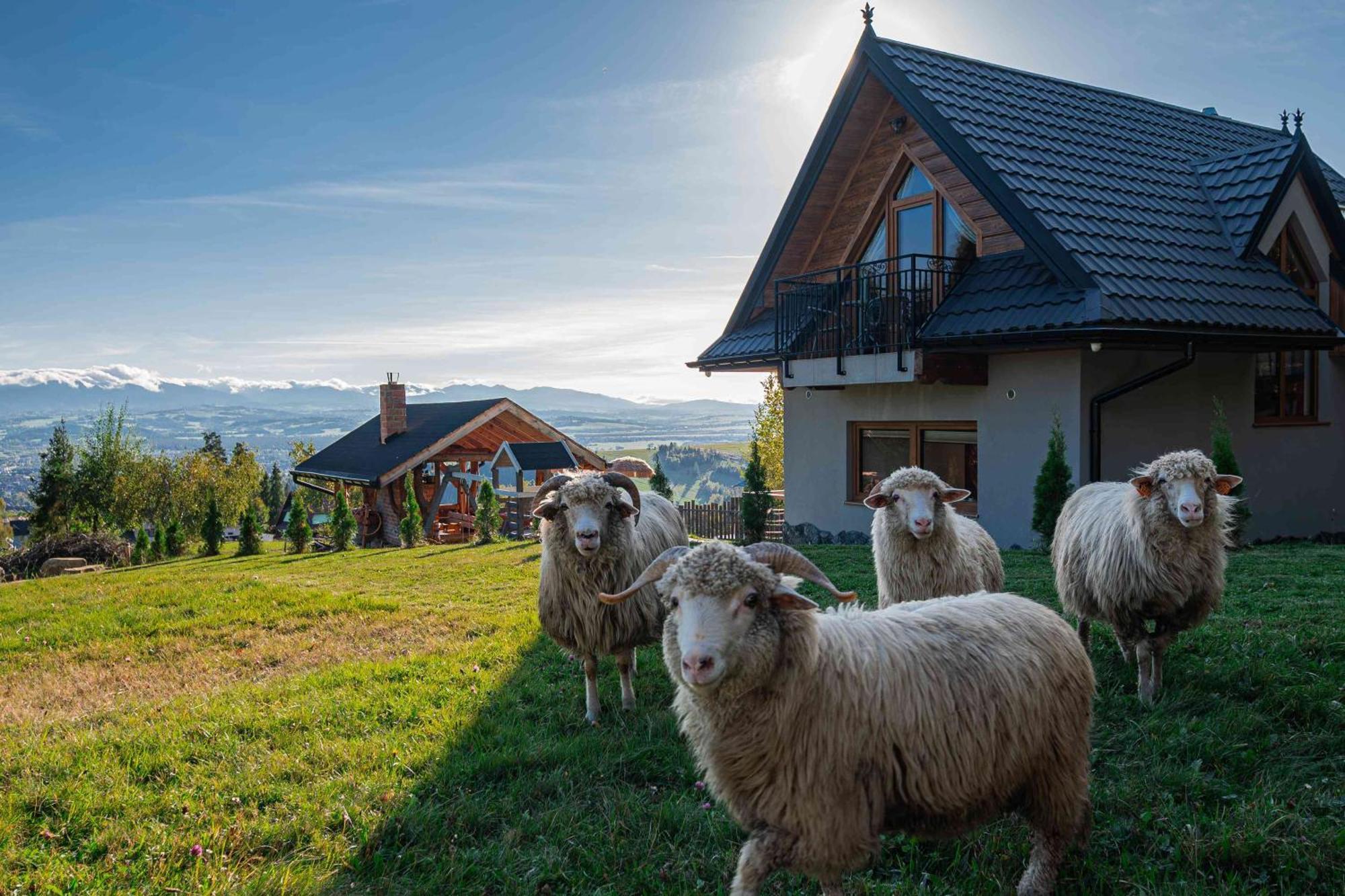 Lesne Zacisze Villa Nowy Targ Ngoại thất bức ảnh